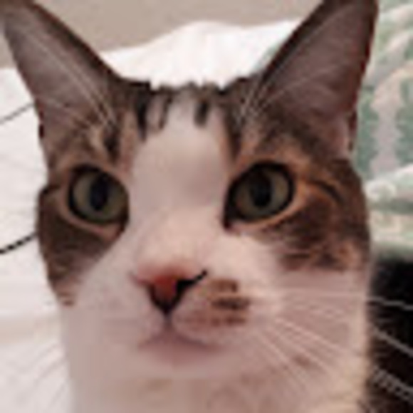 Meet your Posher, Stephanie - Picture 2 of 2